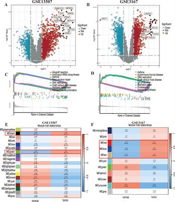 LIG1 is a novel marker for bladder cancer prognosis: evidence based on experimental studies, machine learning and single-cell sequencing